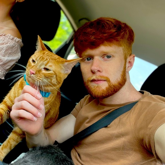 Meet your Posher, Jackson 🩶 - Picture 2 of 4